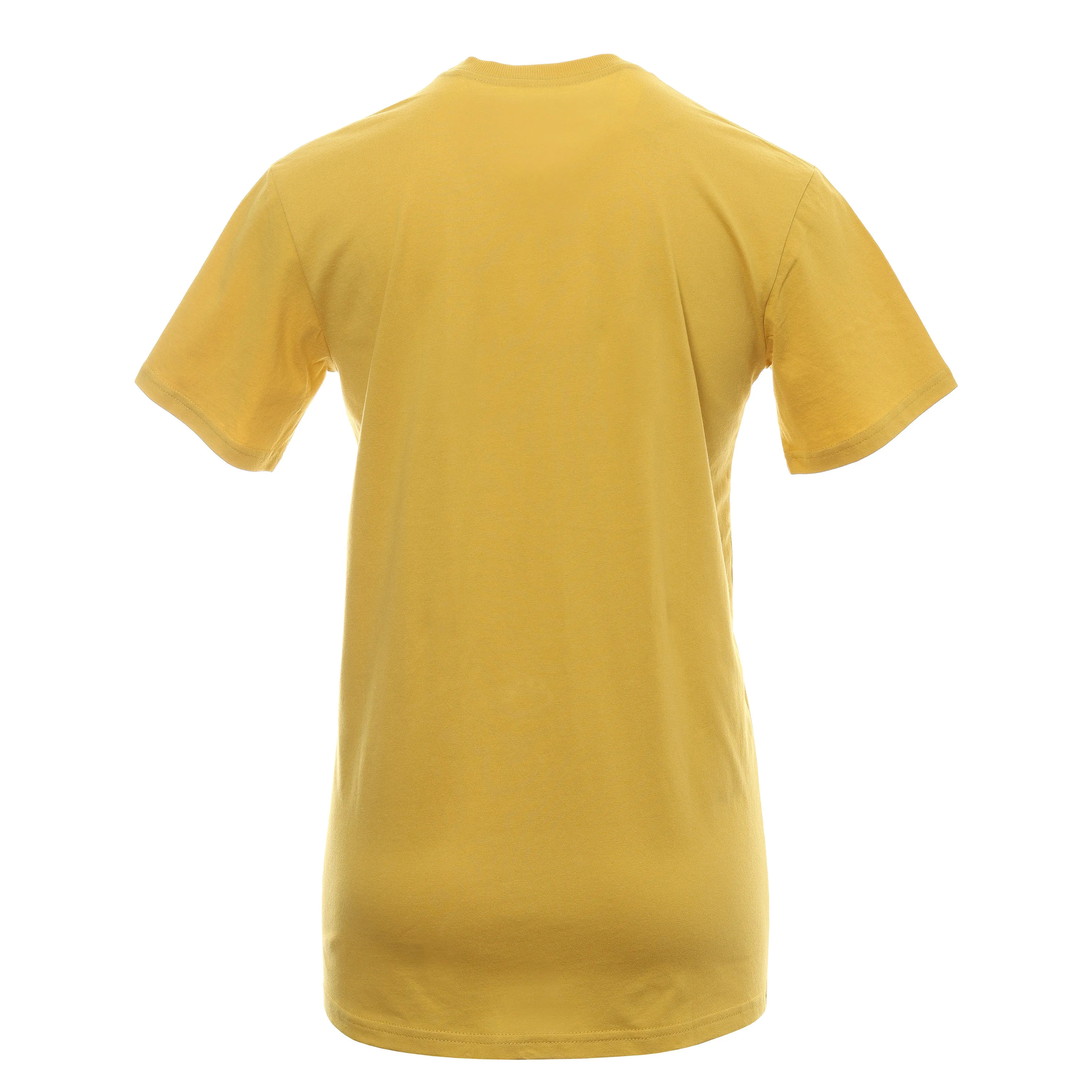Birds Of Condor Tiger Tee