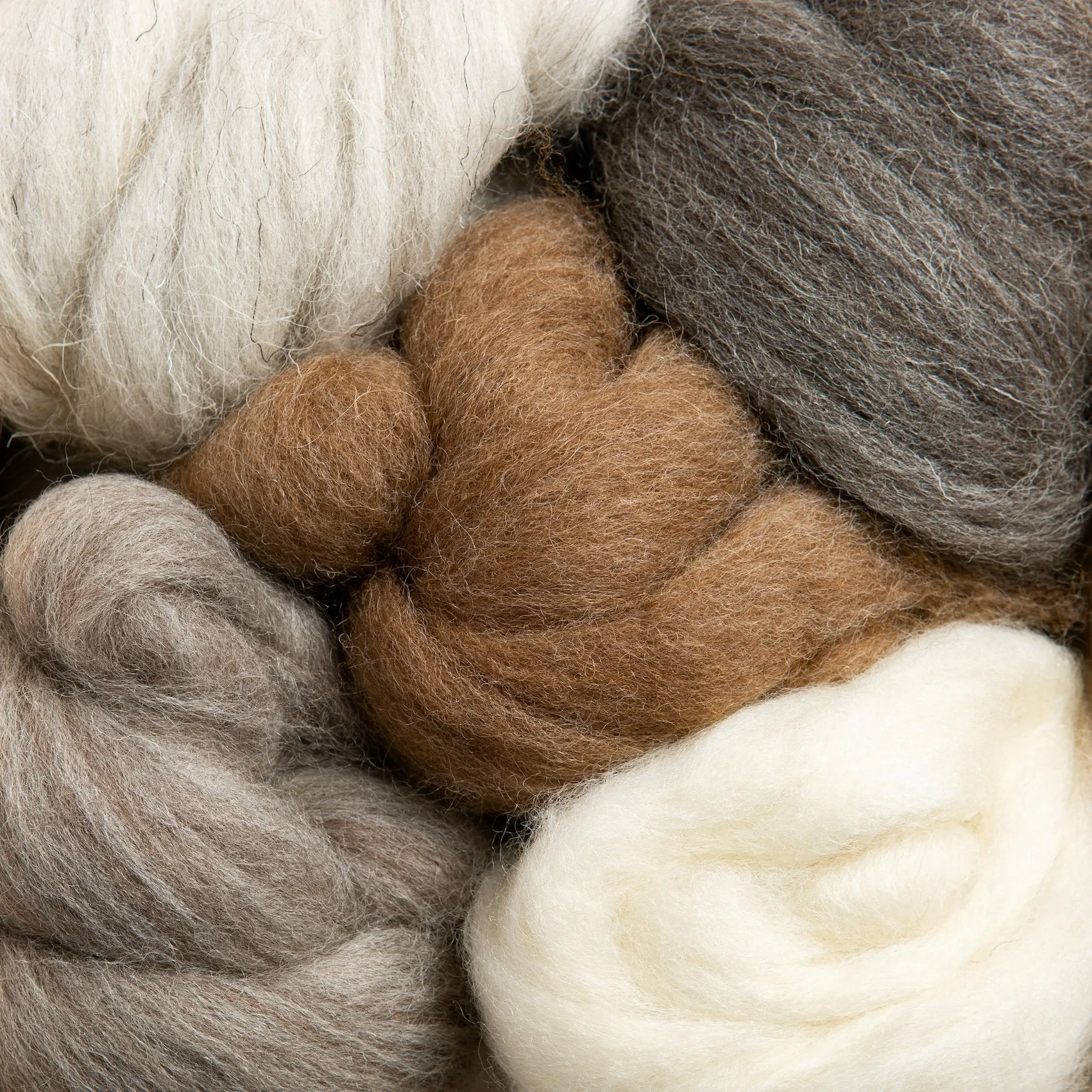 British Breeds Wool Bundle Offer