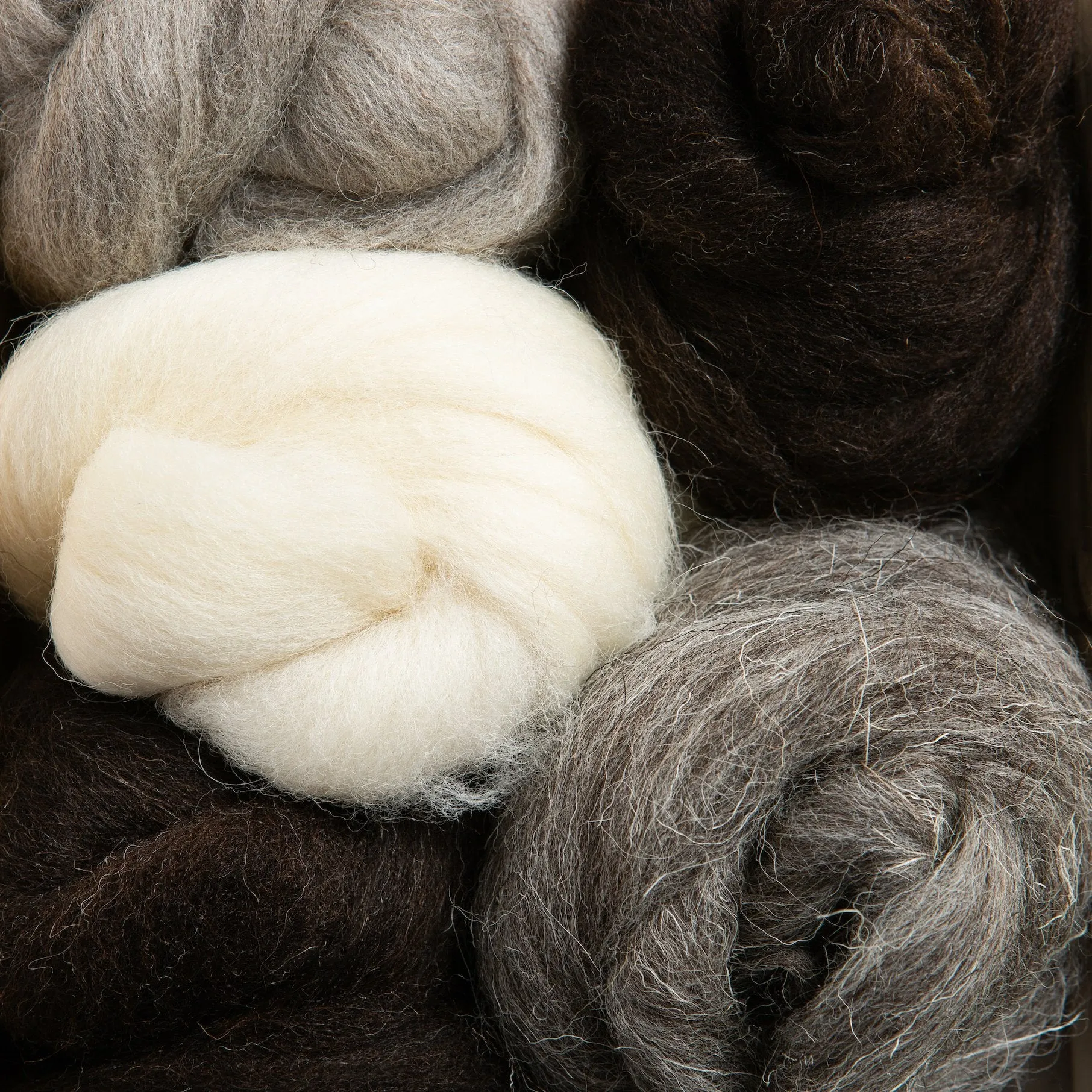 British Breeds Wool Bundle Offer