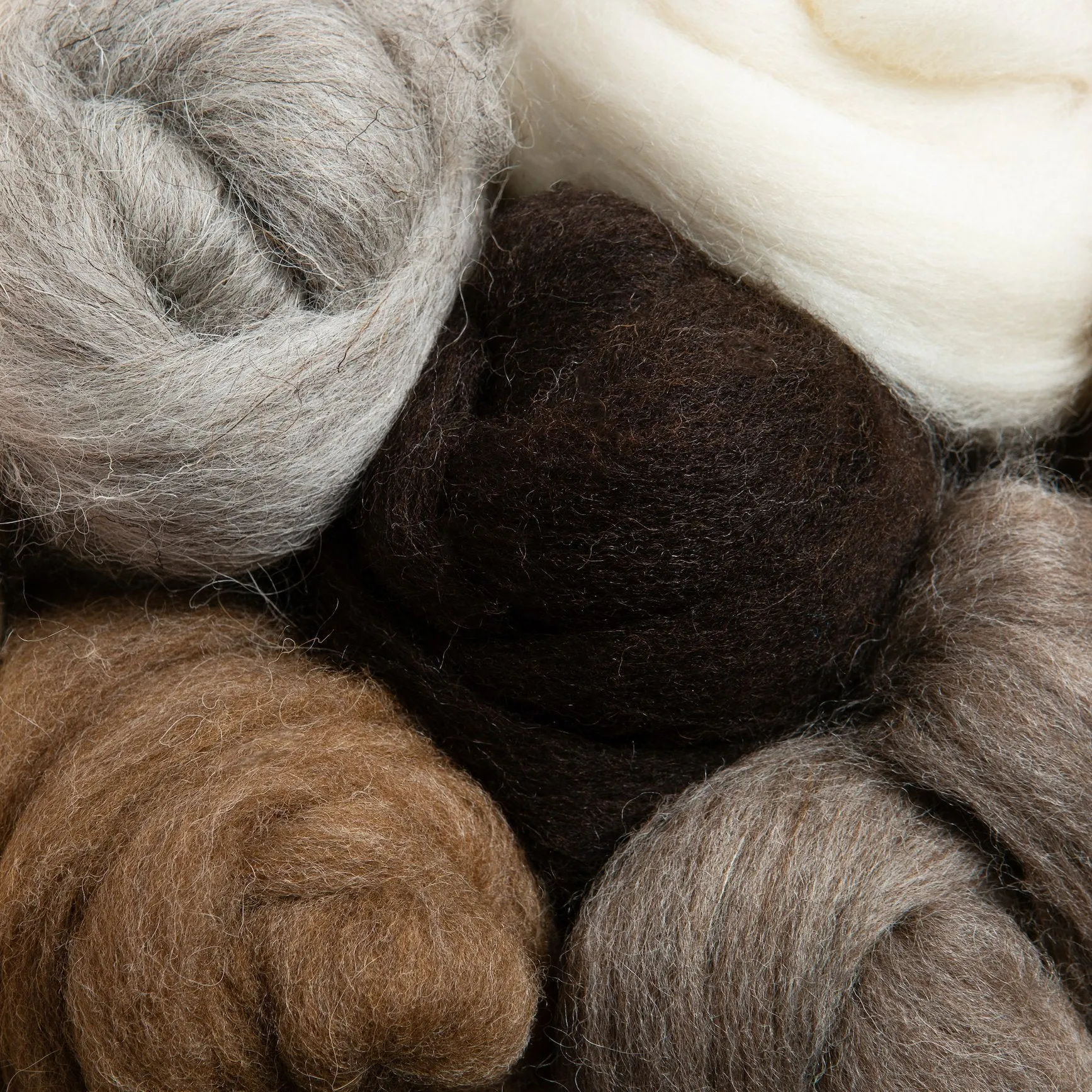 British Breeds Wool Bundle Offer