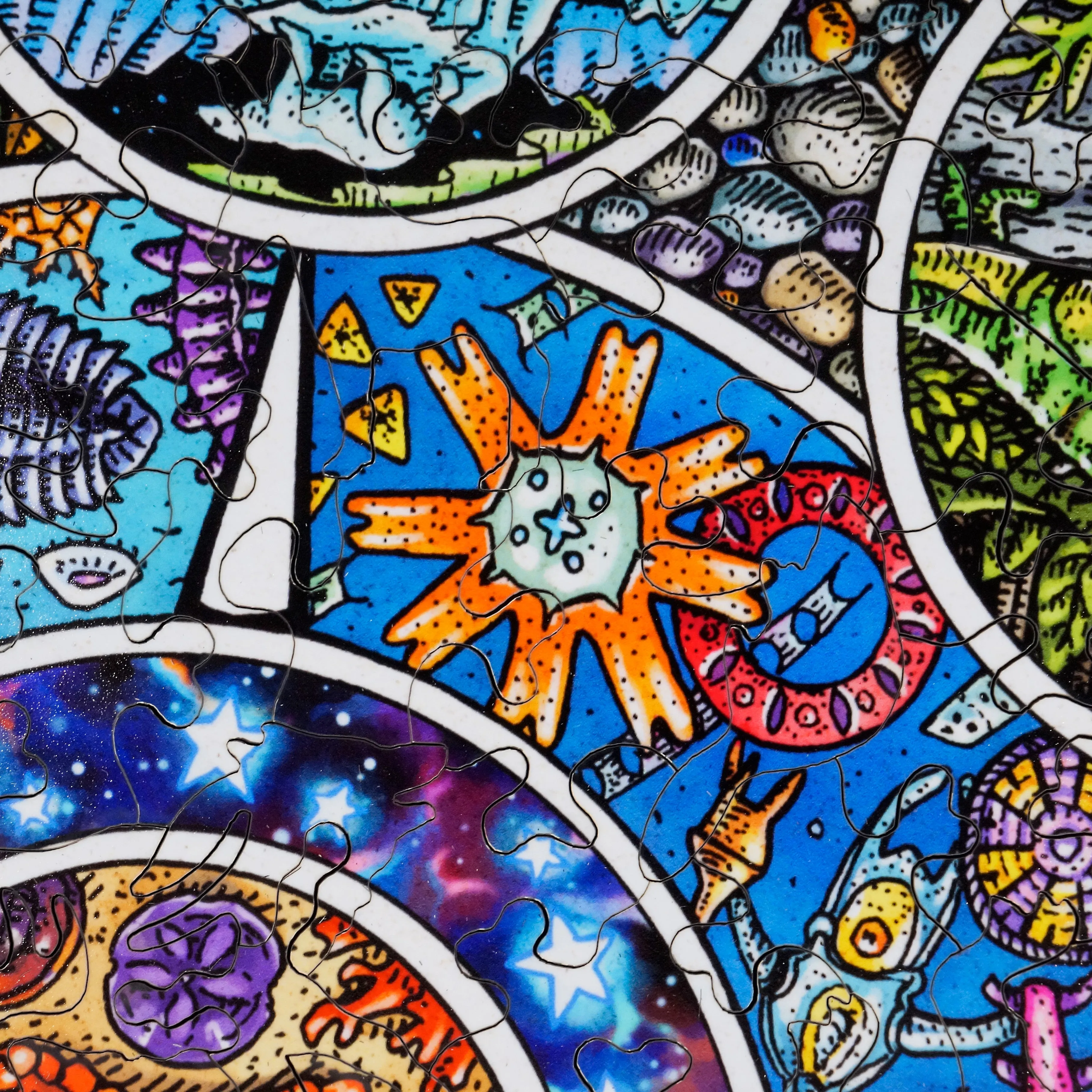 From the Tide Pools to the Stars (503 Piece Wooden Jigsaw Puzzle)