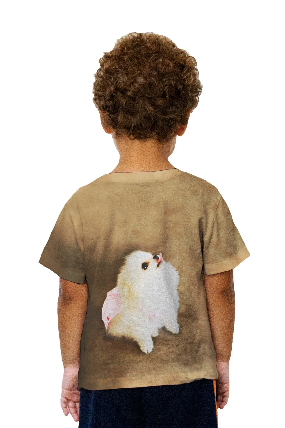 Kids Pomeranian Cherry Cape Superhero