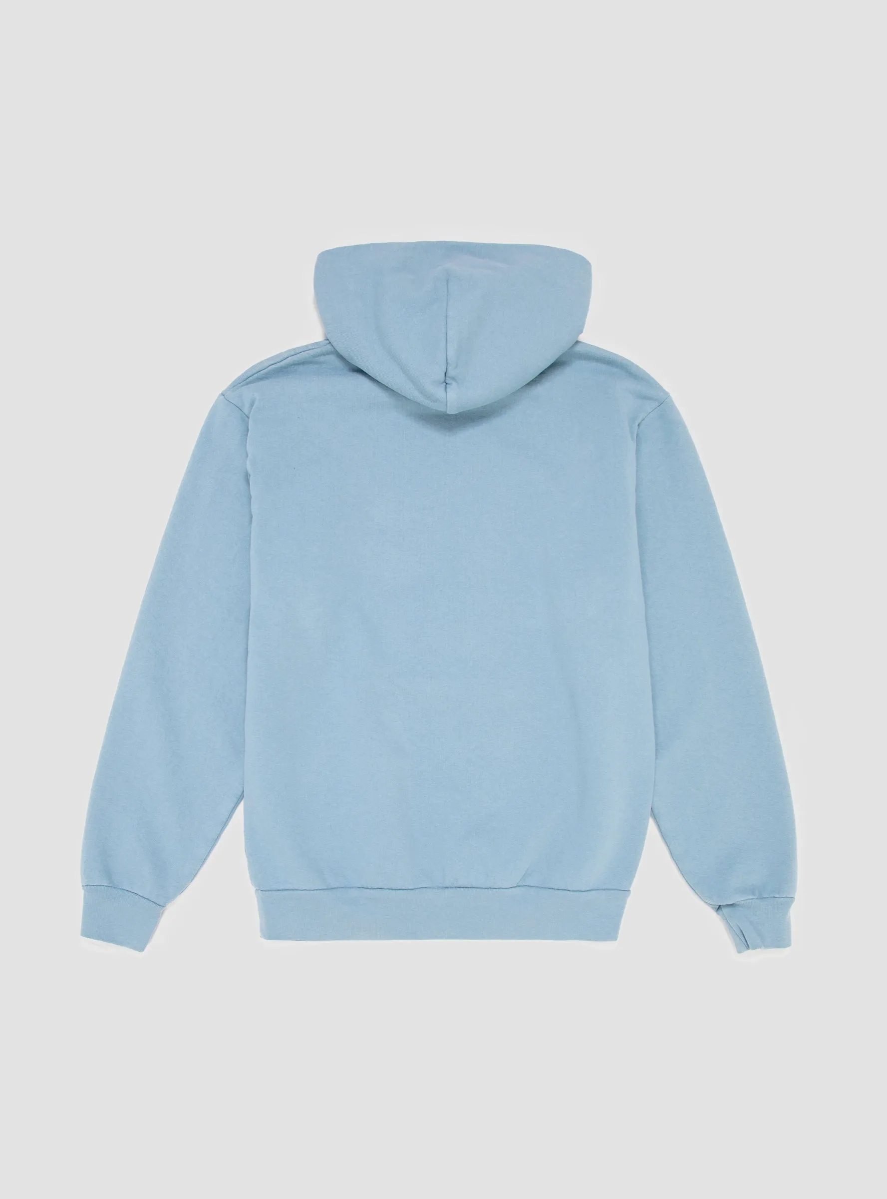 Loose Leaf Hoodie Sky