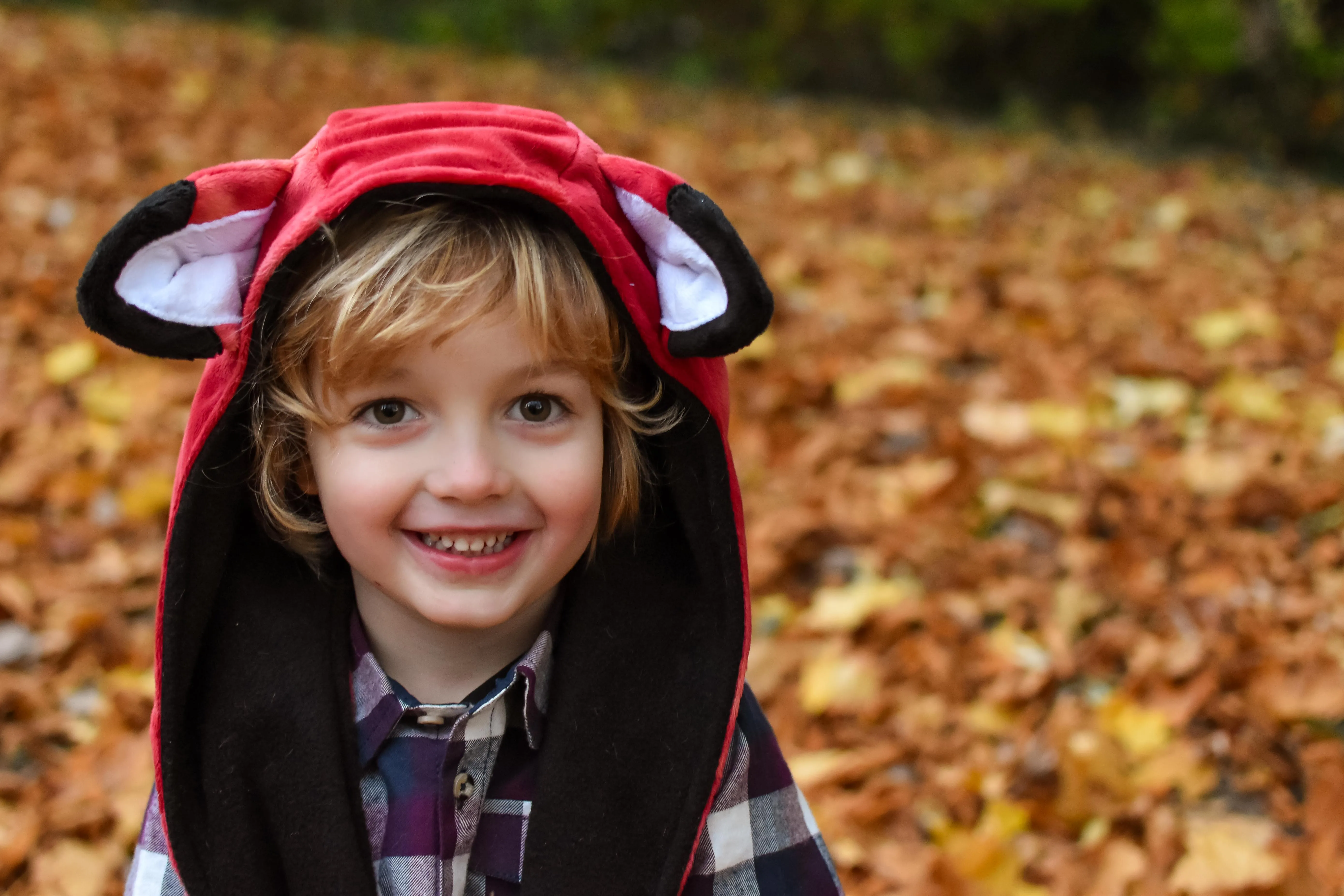 PDF Pattern - Charlie Bear & Friends Hood | Waves & Wild