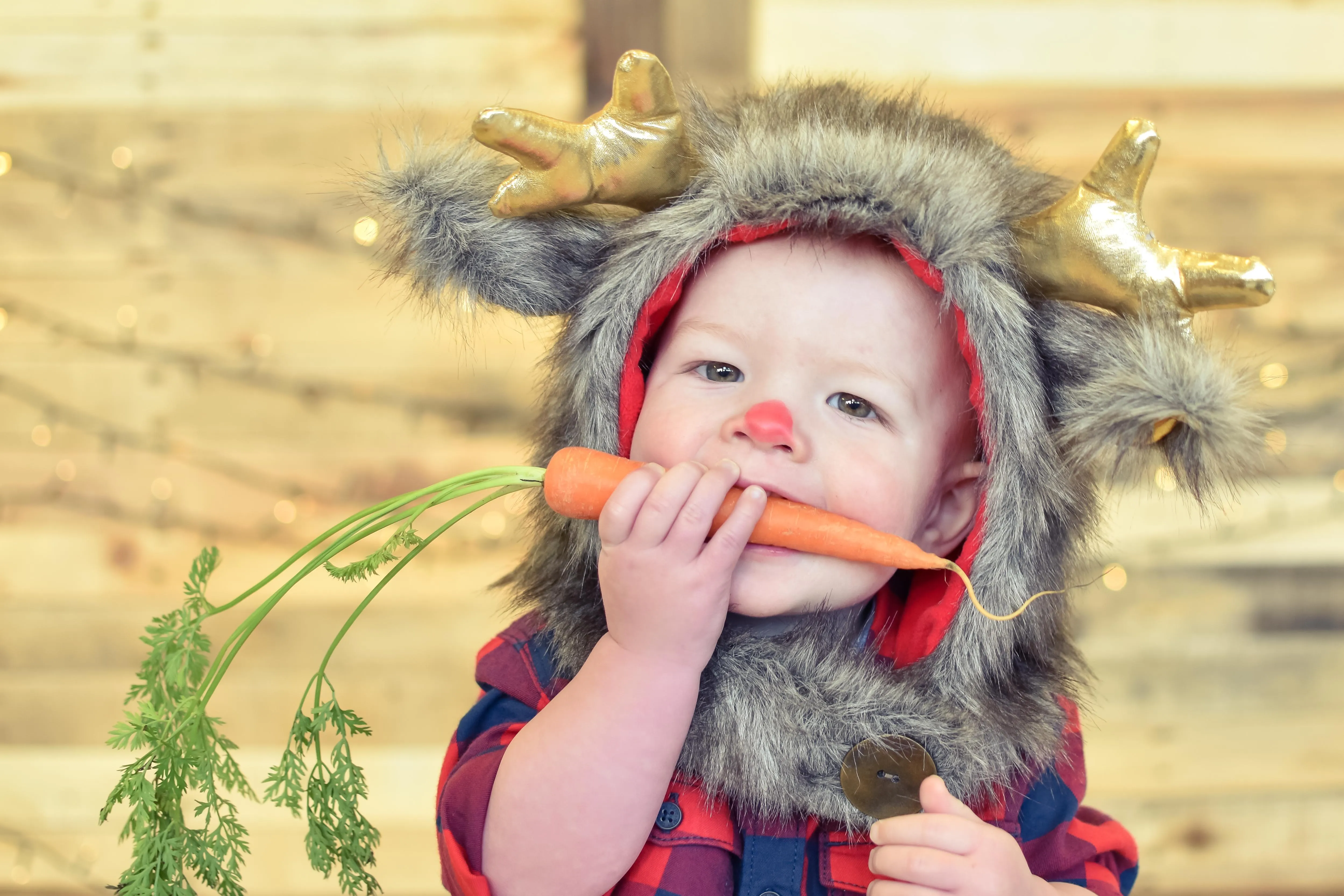 PDF Pattern - Charlie Bear & Friends Hood | Waves & Wild