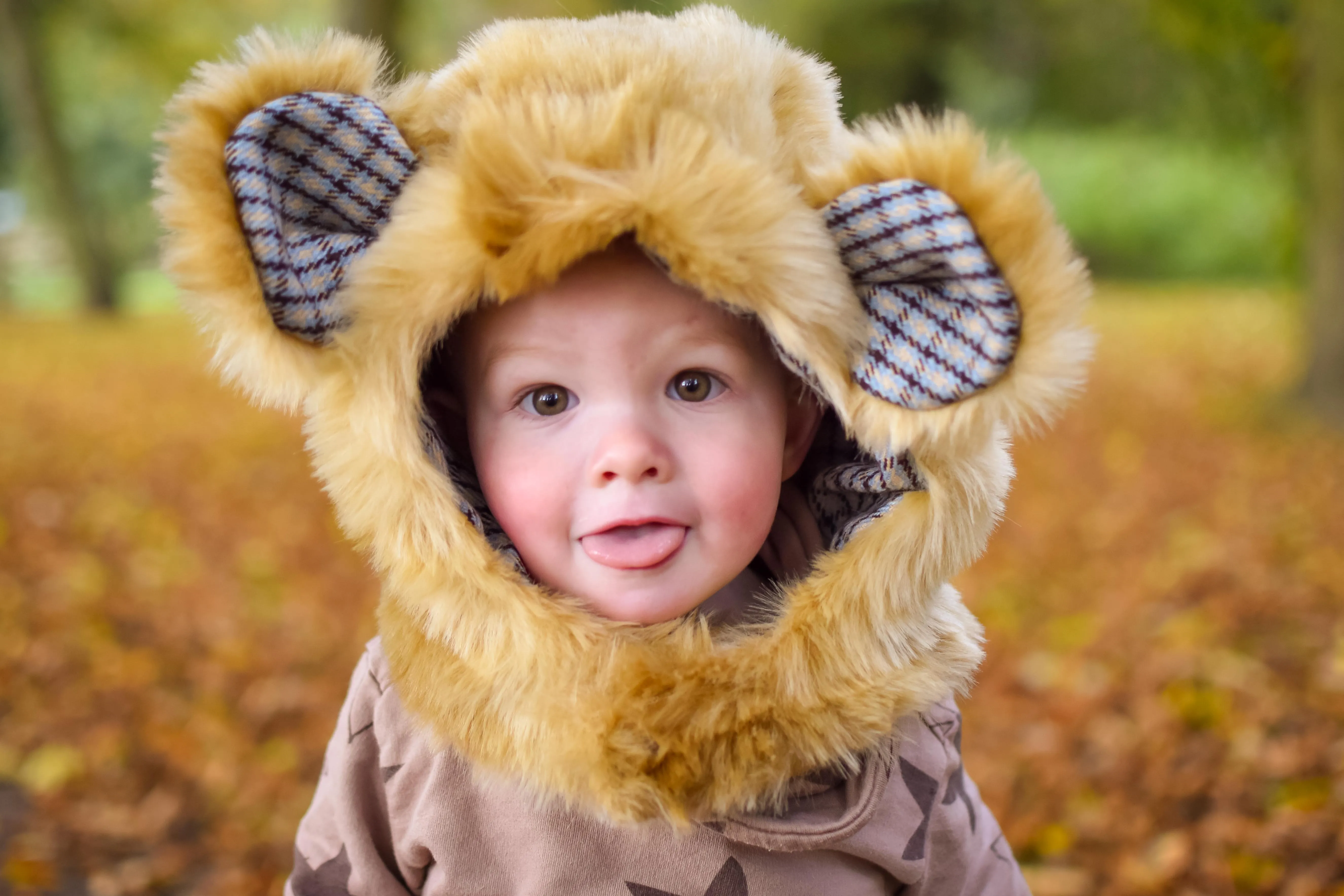 PDF Pattern - Charlie Bear & Friends Hood | Waves & Wild
