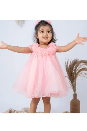 Pink Rosy Floral Embellished Whirl A-Line Dress