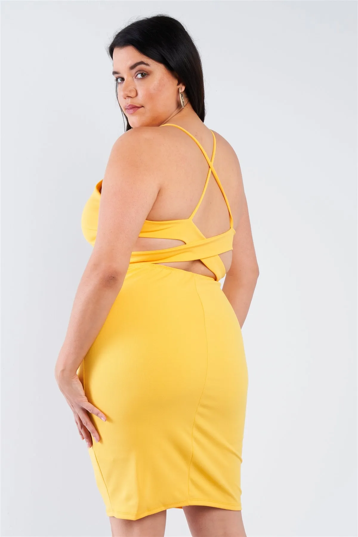 Plus Size Basic Bodycon Dress