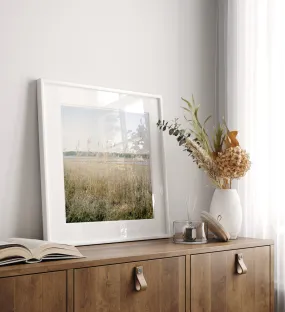 "Cape Cod Reeds" | Coastal Photography Print