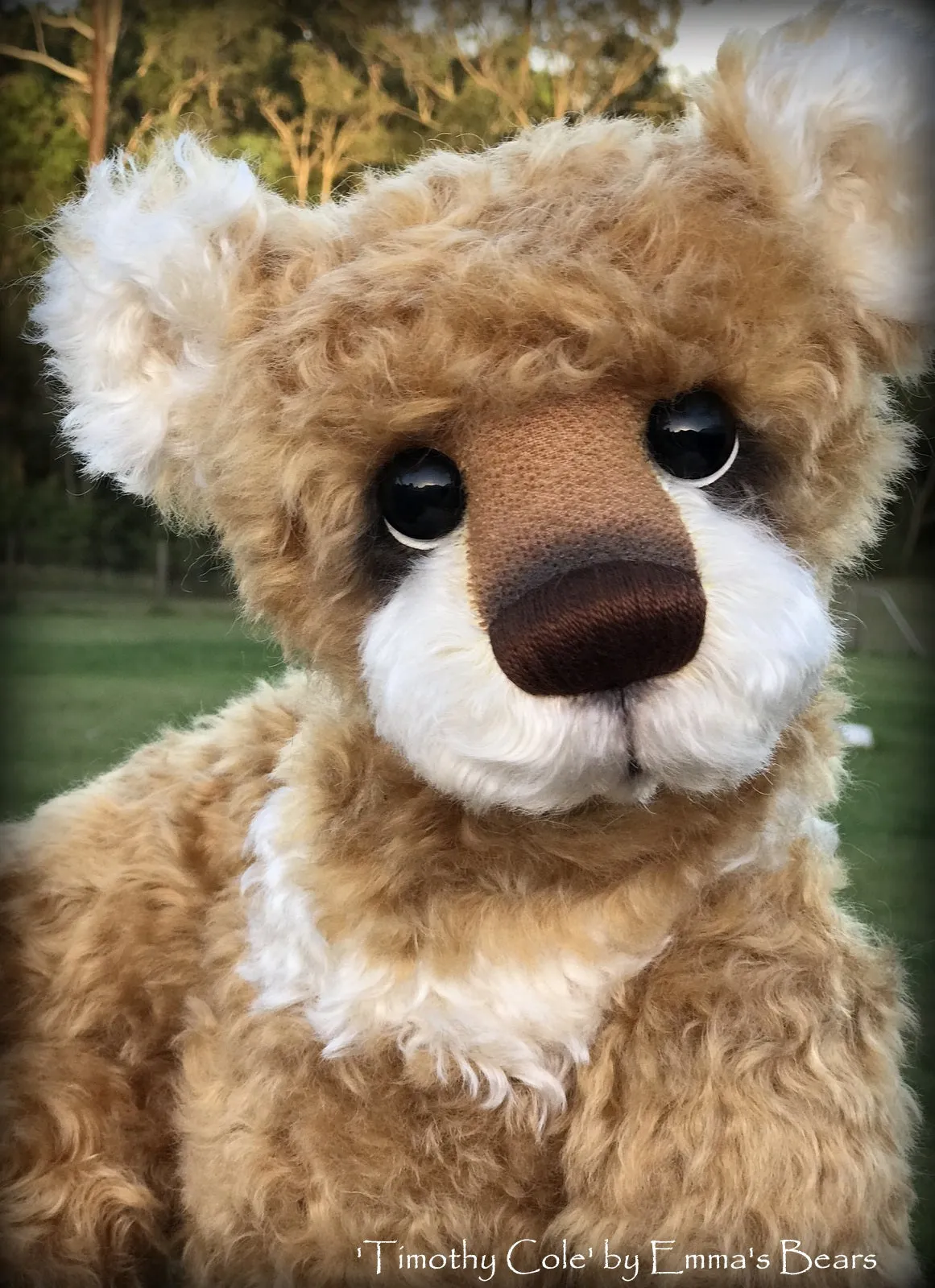 Timothy Cole - 21" Christmas 2018 Toddler Artist Bear by Emma's Bears - OOAK