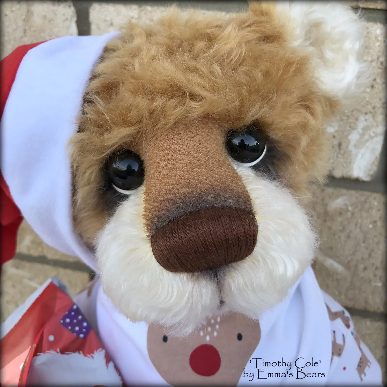 Timothy Cole - 21" Christmas 2018 Toddler Artist Bear by Emma's Bears - OOAK