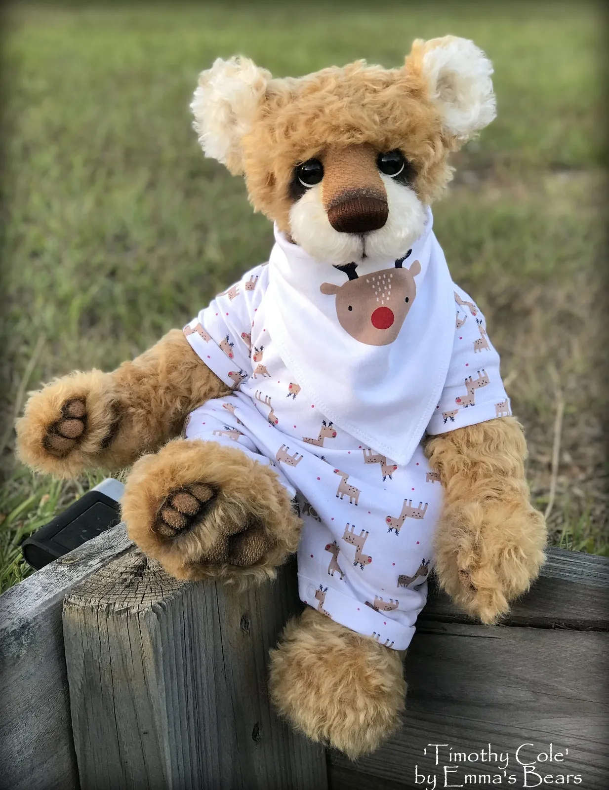 Timothy Cole - 21" Christmas 2018 Toddler Artist Bear by Emma's Bears - OOAK