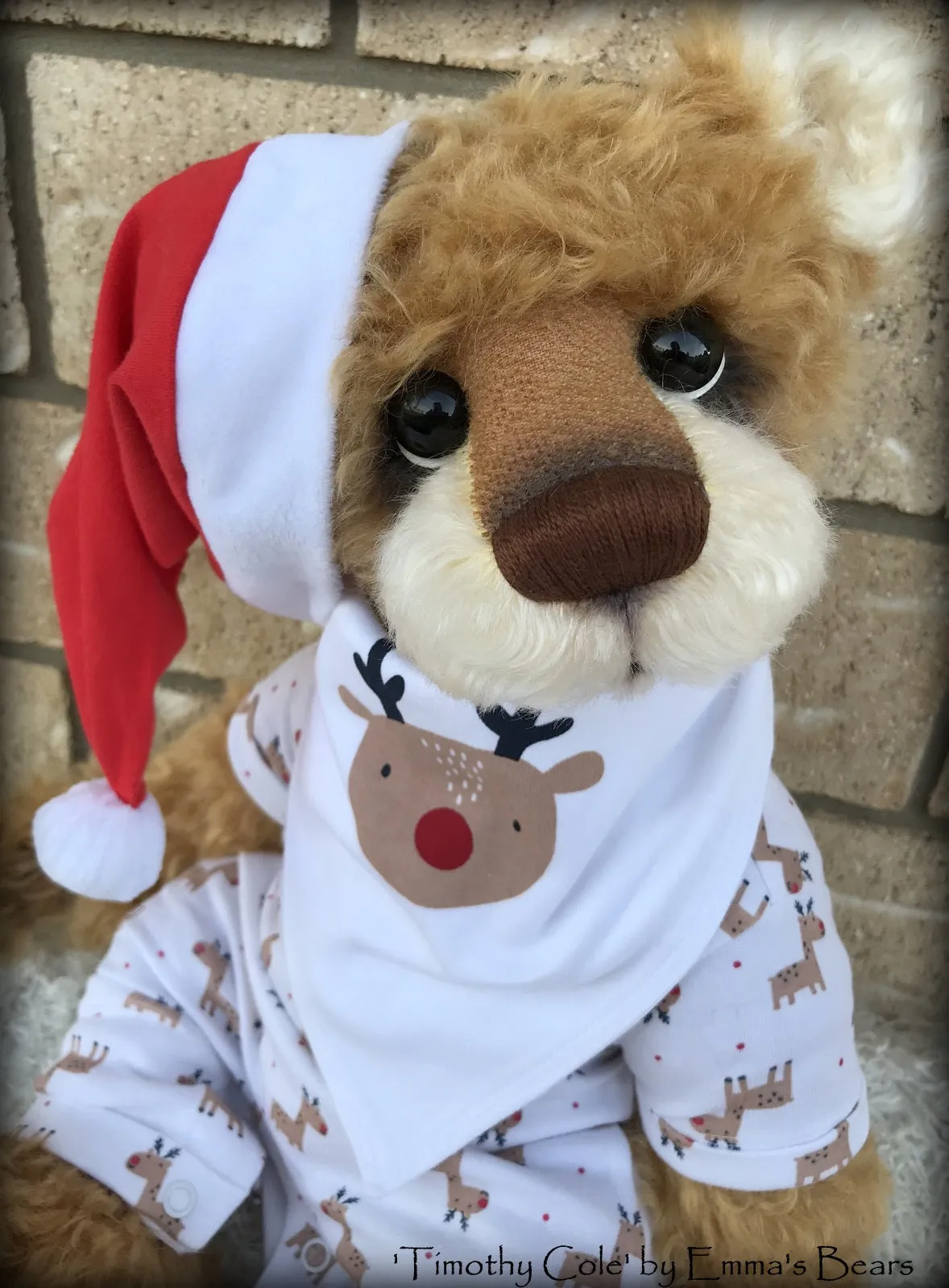 Timothy Cole - 21" Christmas 2018 Toddler Artist Bear by Emma's Bears - OOAK