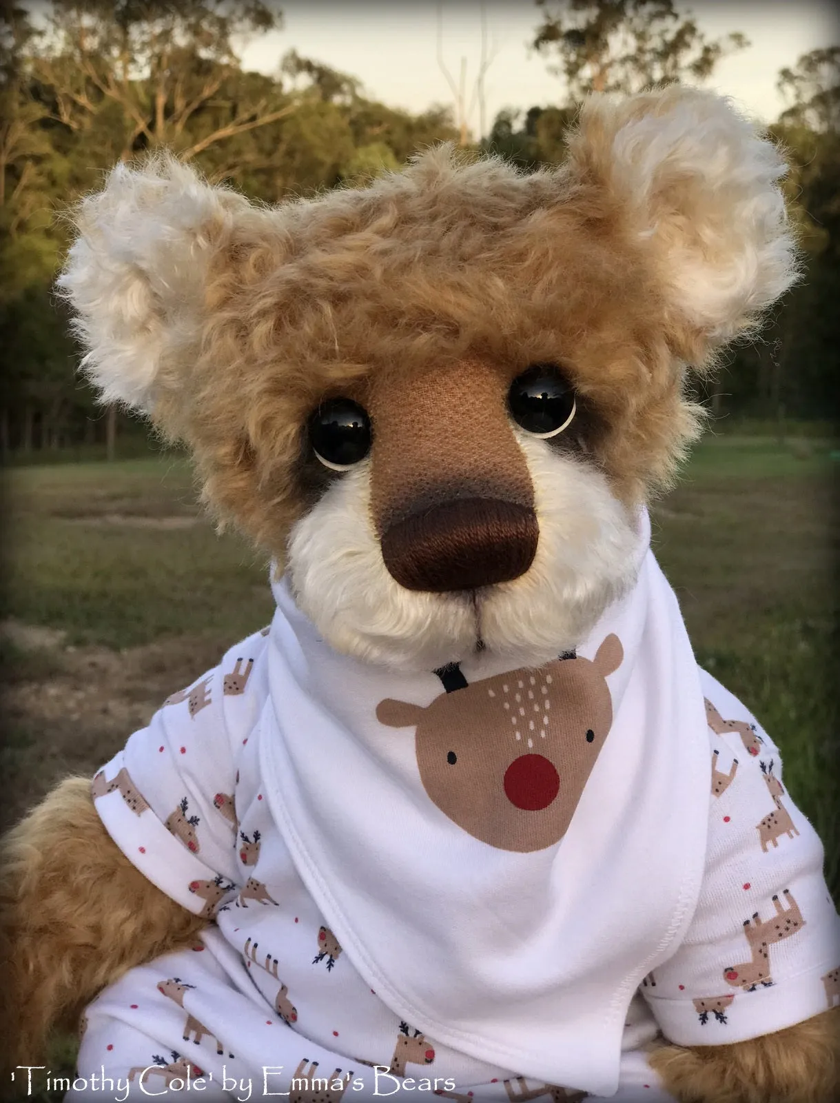 Timothy Cole - 21" Christmas 2018 Toddler Artist Bear by Emma's Bears - OOAK