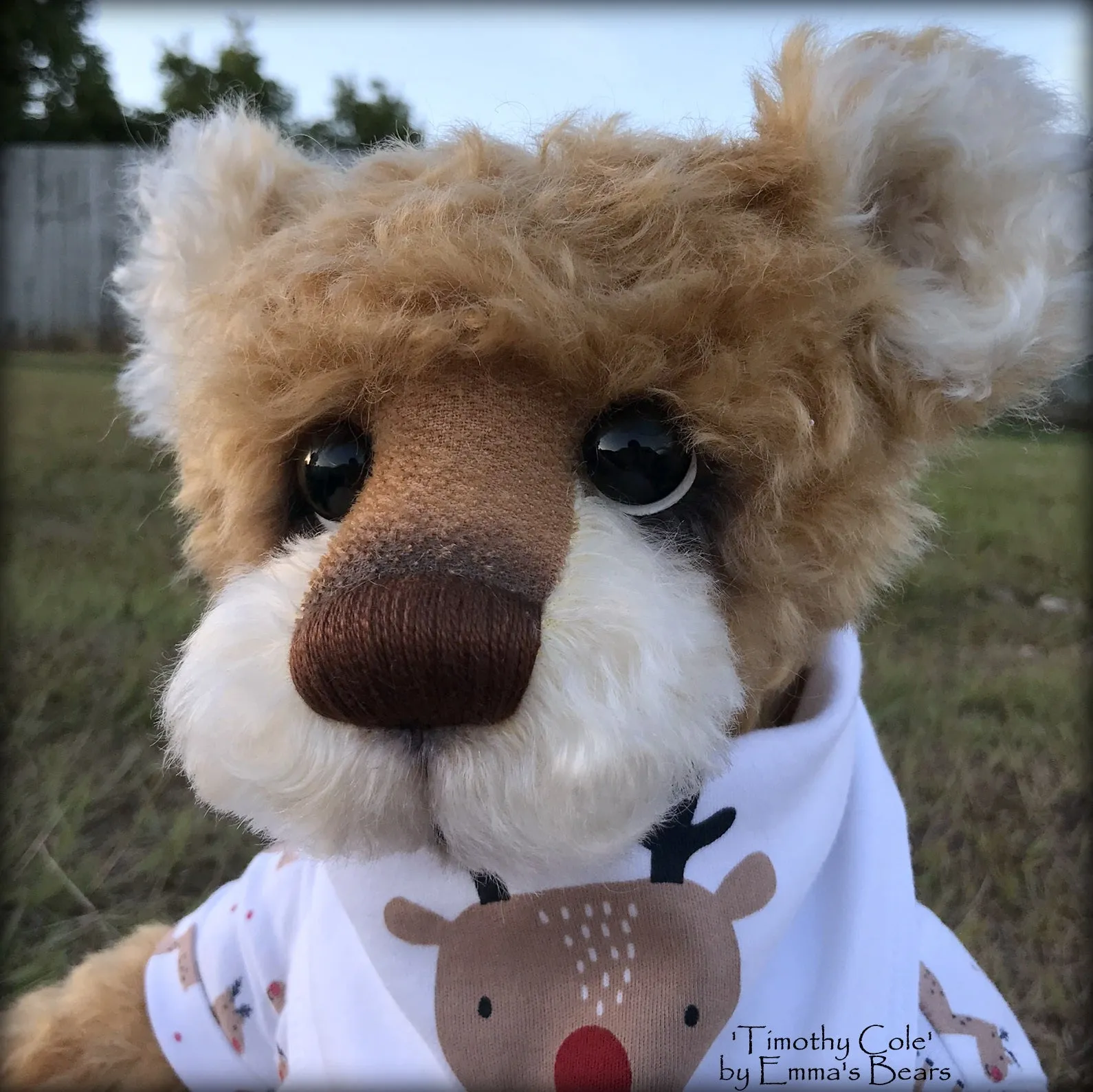 Timothy Cole - 21" Christmas 2018 Toddler Artist Bear by Emma's Bears - OOAK
